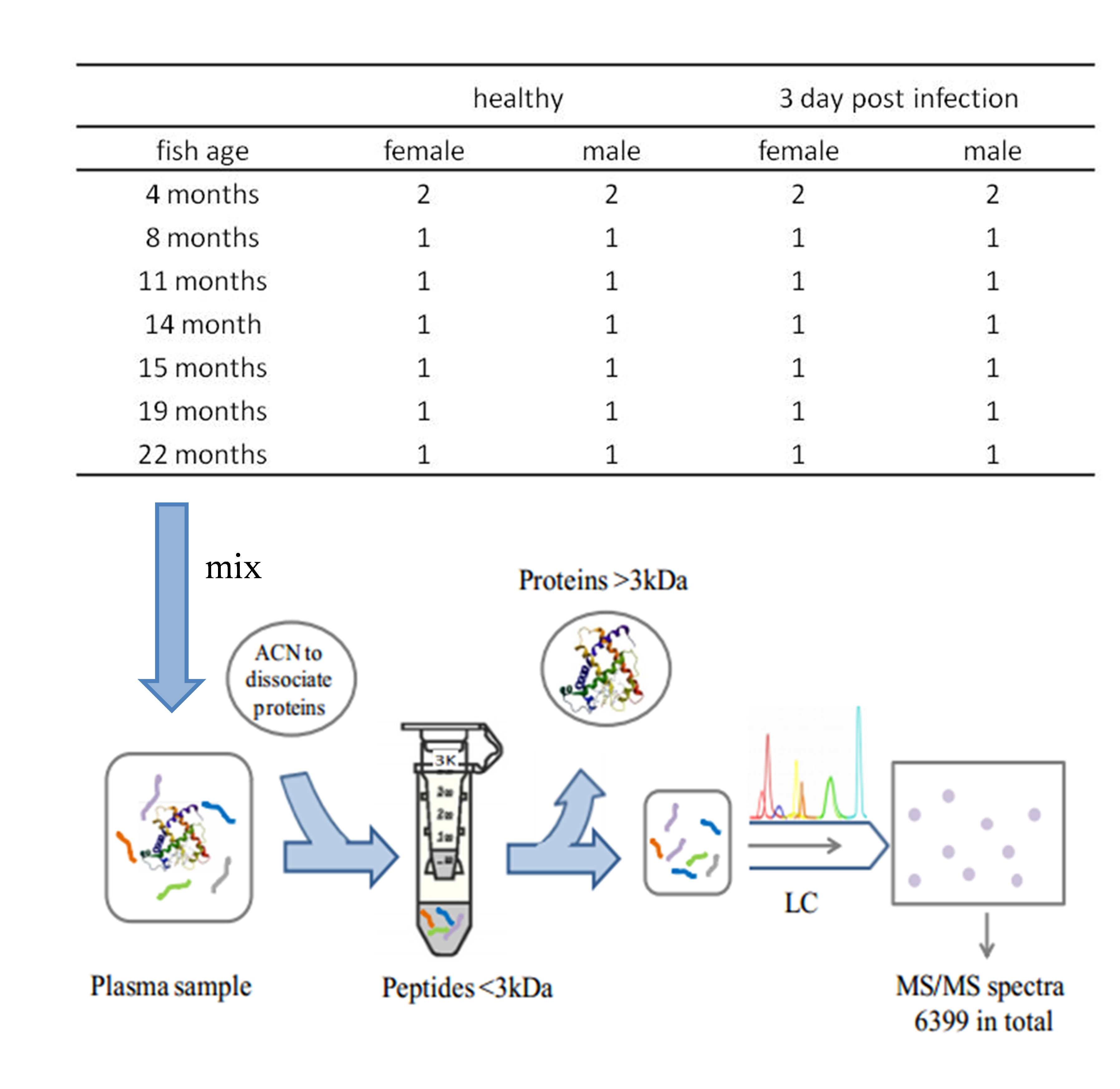 Fig.1 Schematic diagram of identification and characterisation of small circulating peptides in medaka plasma