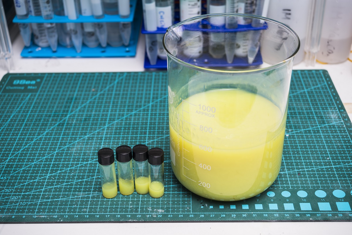 The electrocatalyst is based on two-dimensional mineral gel nanosheets.