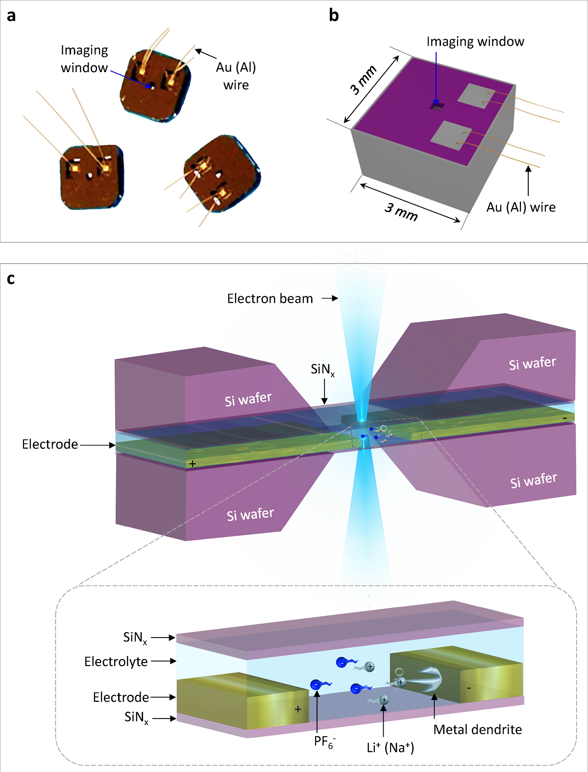Schematic illustration of the electrochemical liquid cell.