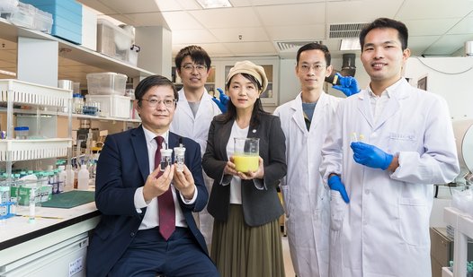 Highly efficient novel electrocatalysts developed by CityU researchers to tackle energy crisis
