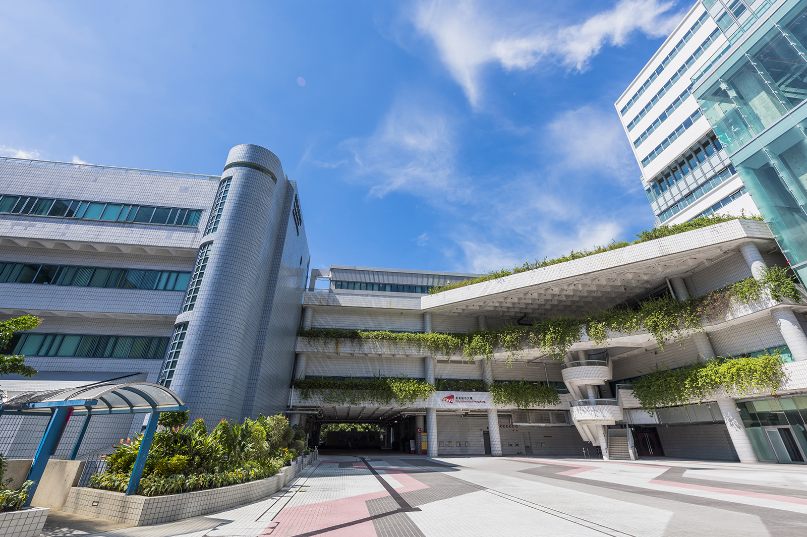 CityUHK ranked No 1 in Hong Kong in Nature Indexs 2025 Research Leaders