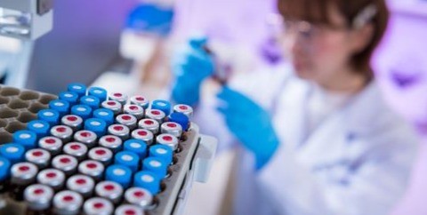 College of Biomedicine