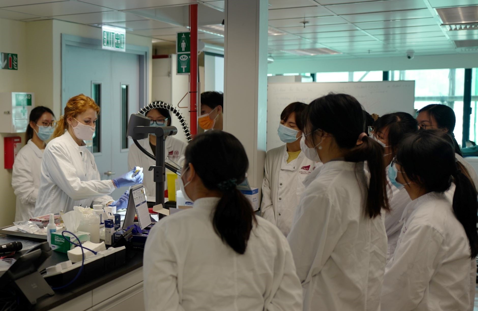 Research Themes and Projects