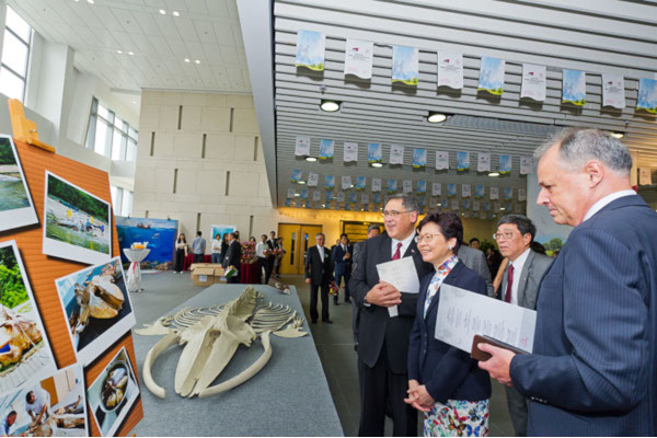 Research Themes and Projects