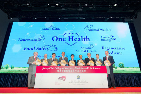 Research Themes and Projects