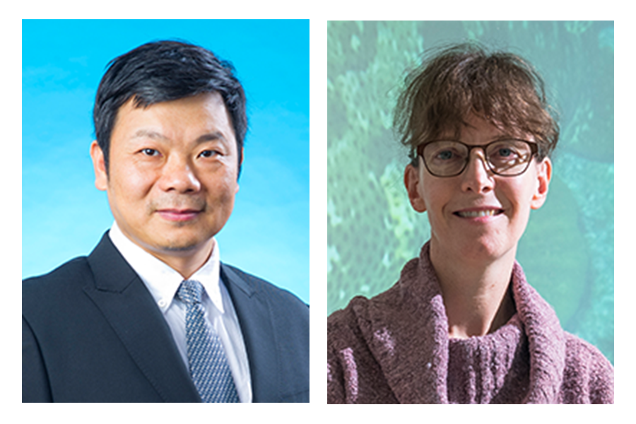Appointments of Associate Dean and Acting Head