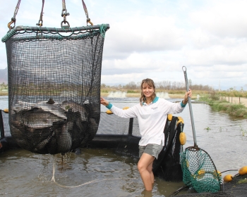CityU researcher secures Sea Pact grant for aquaculture research