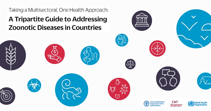 FAO, OIE, and WHO launch a guide for countries on taking a One Health approach to addressing zoonotic diseases