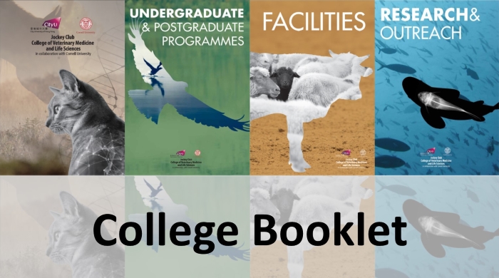 New College Booklet out now!