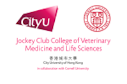 New Department of Neuroscience
