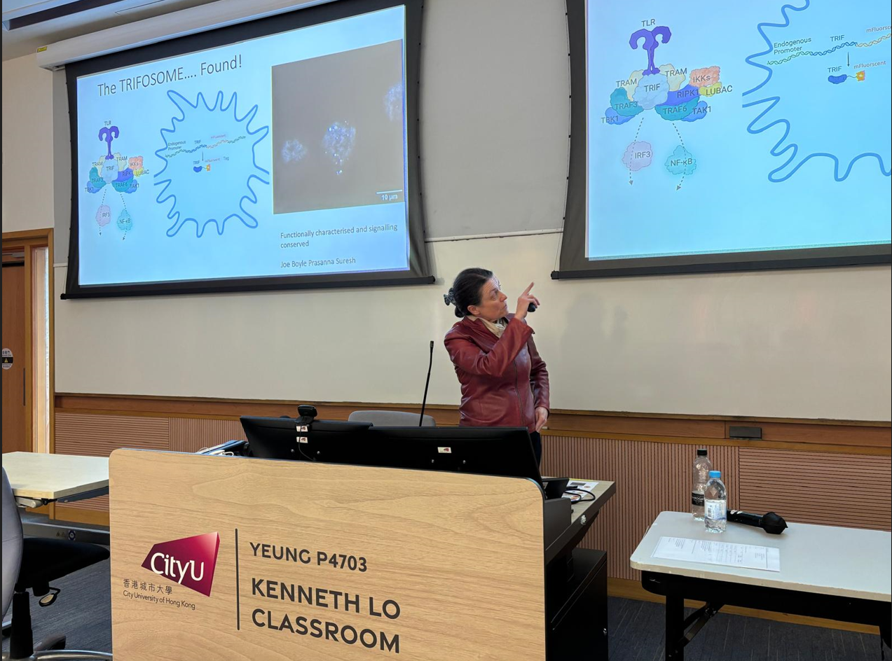 Professor Clare Bryant, Distinguished Visiting Professor visits during 2-6 December 2024