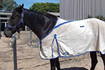 Study About the Use of Horse Rugs Features on Horsetalk.co.nz