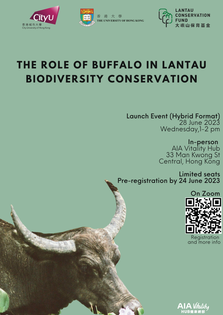 The Role of Buffalo in Lantau Biodiversity Conservation