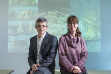 Professor Dirk Pfeiffer and Professor Sophie St-Hilaire