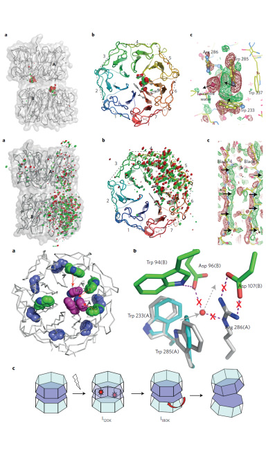 Professor RQ Zhang and Dr J Fan co-authored a paper in Nature Plants 2015