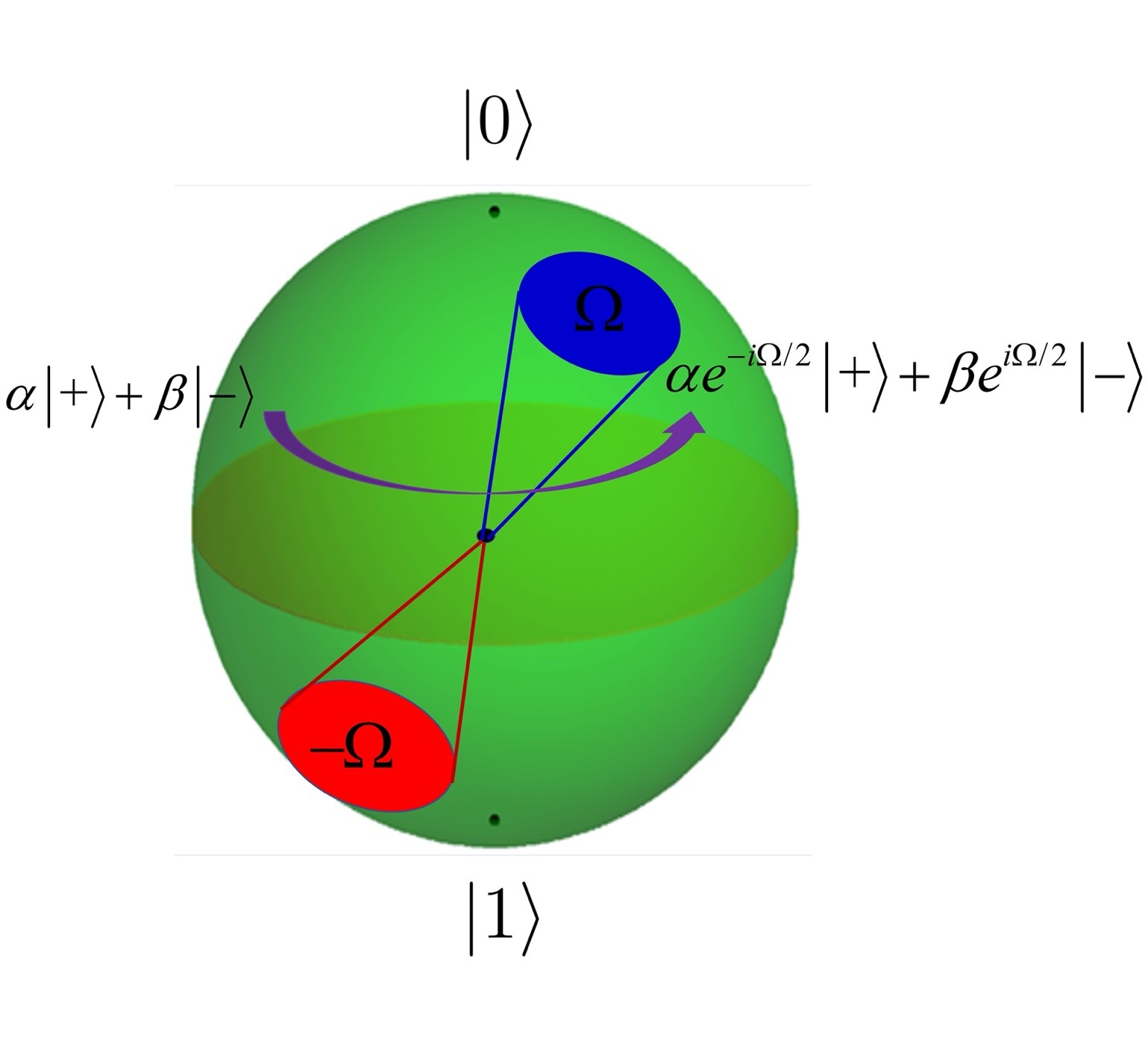 Publication_Sunny Wang