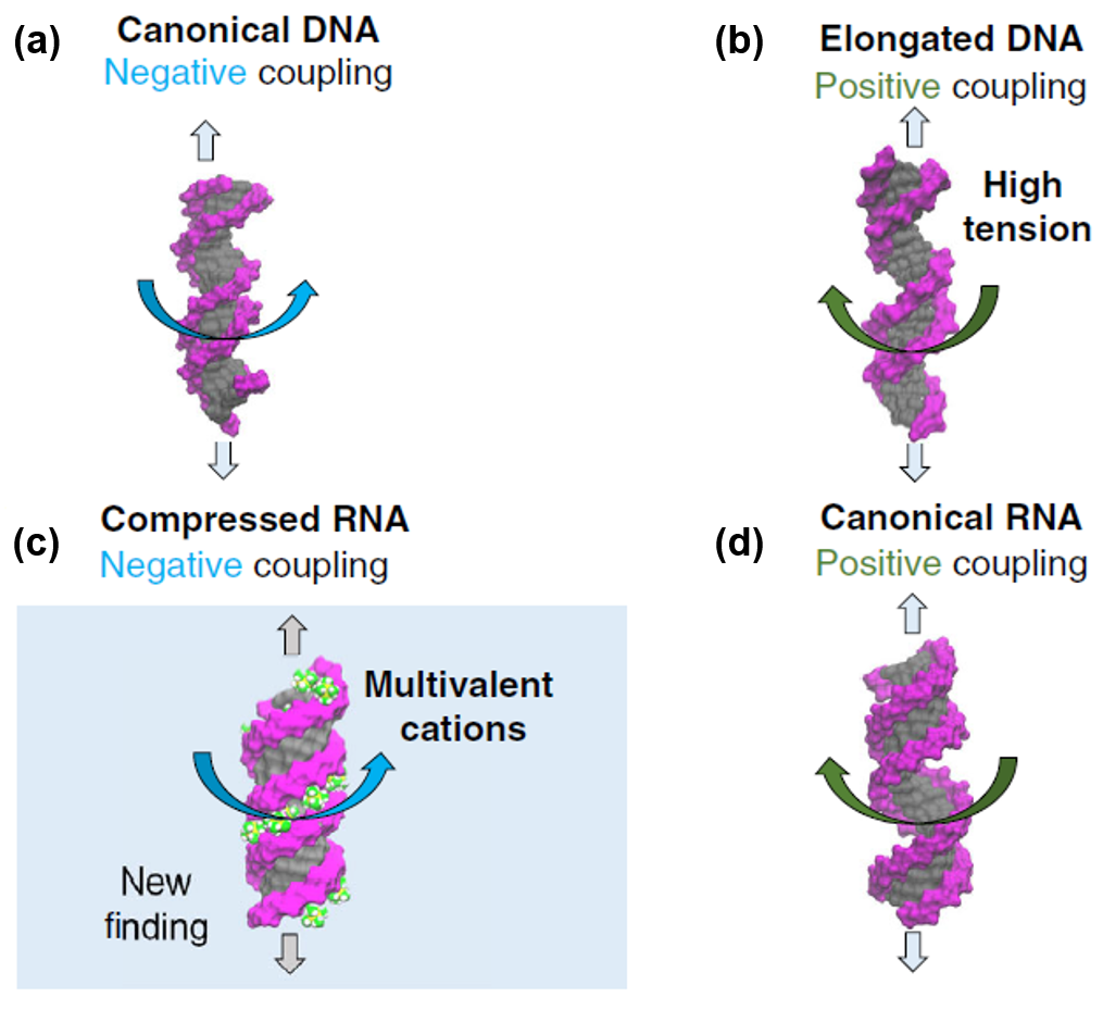 PHYSICAL REVIEW LETTERS