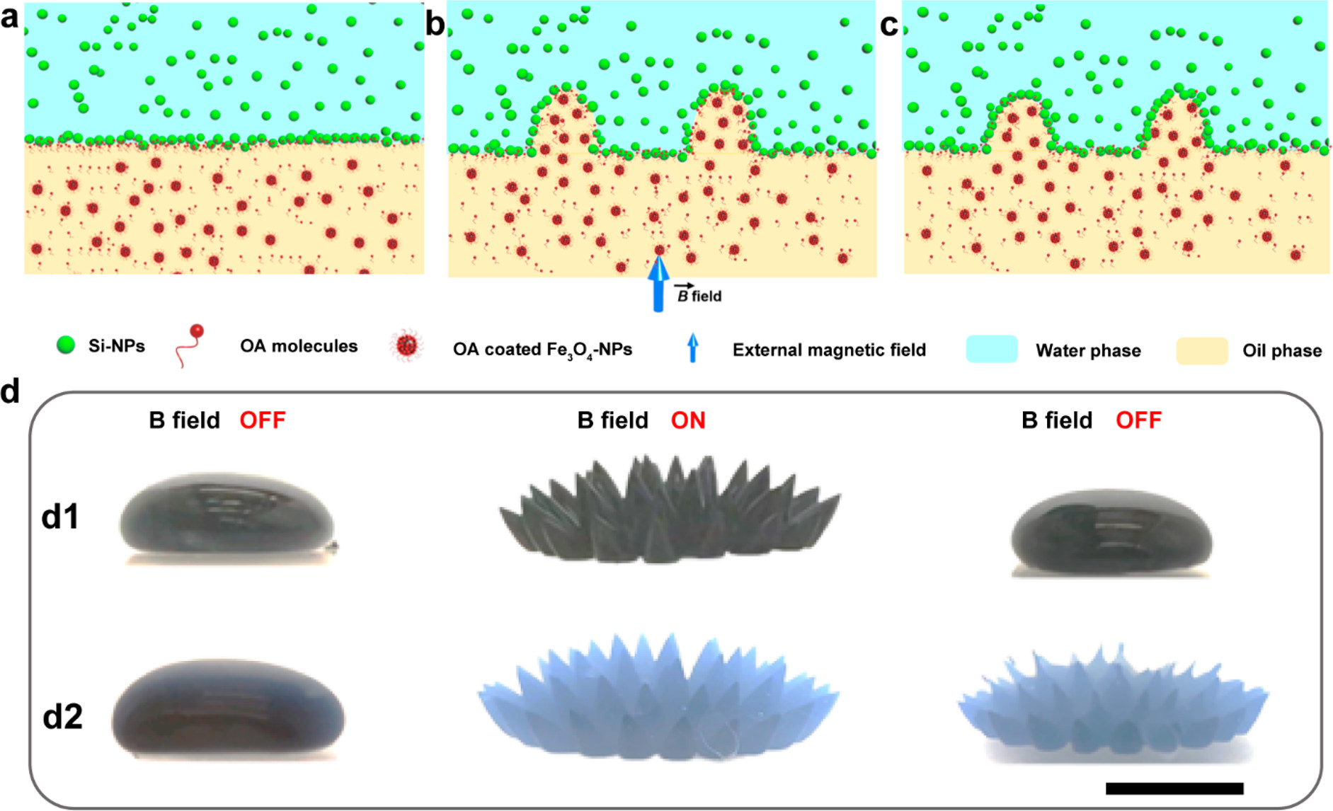 images_large_nl2c01721_0001