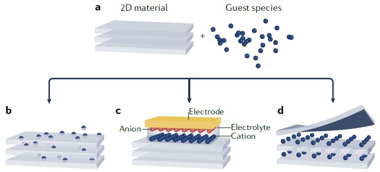 NatRevMater_Image_Sep_2022