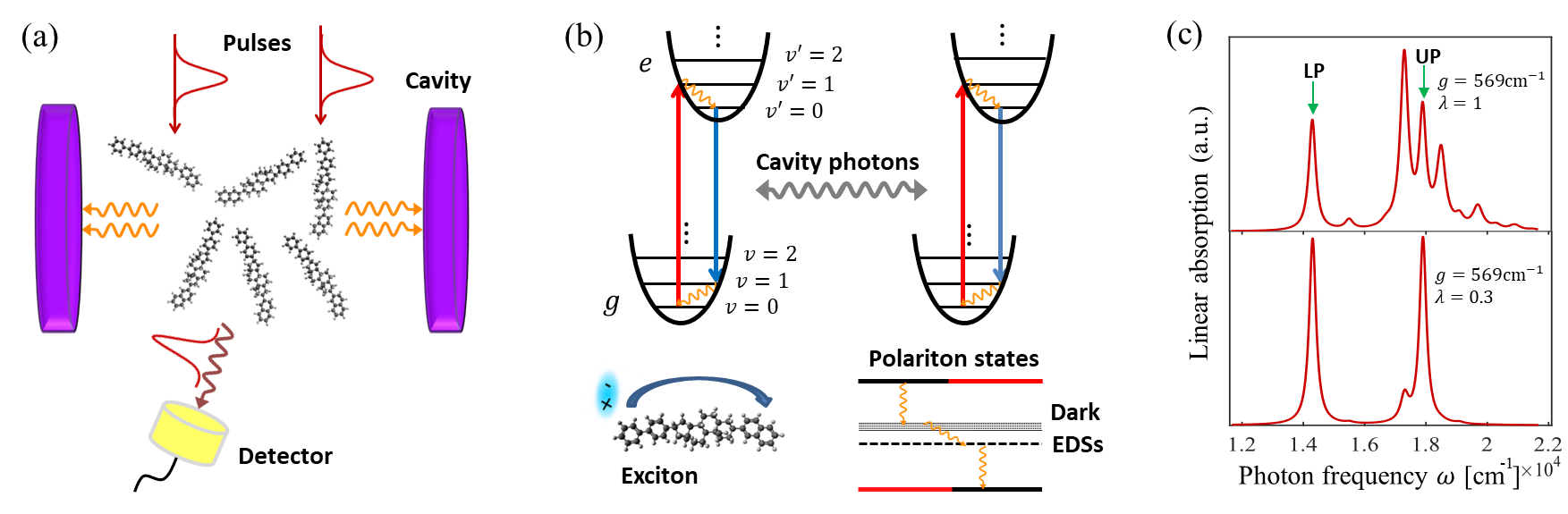 Physical Review letters