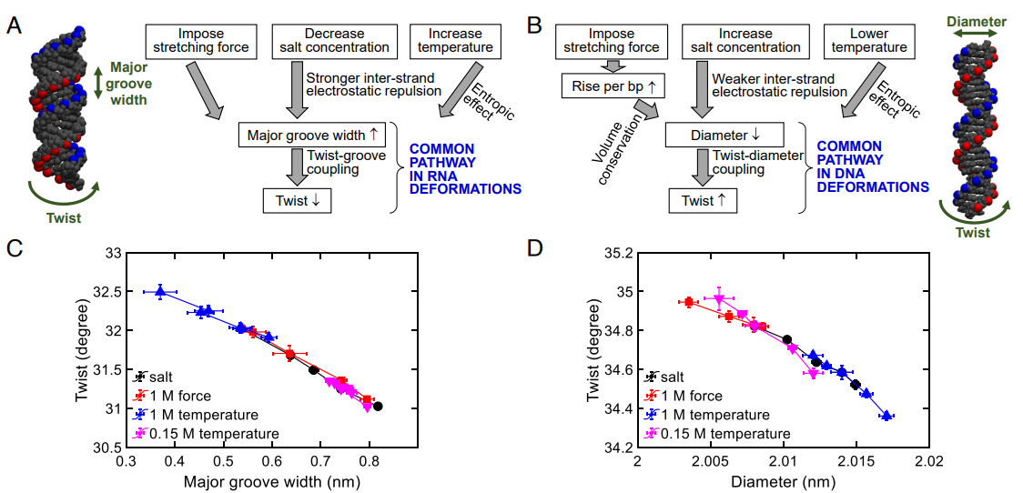 Proceedings of the National Academy of Sciences USA