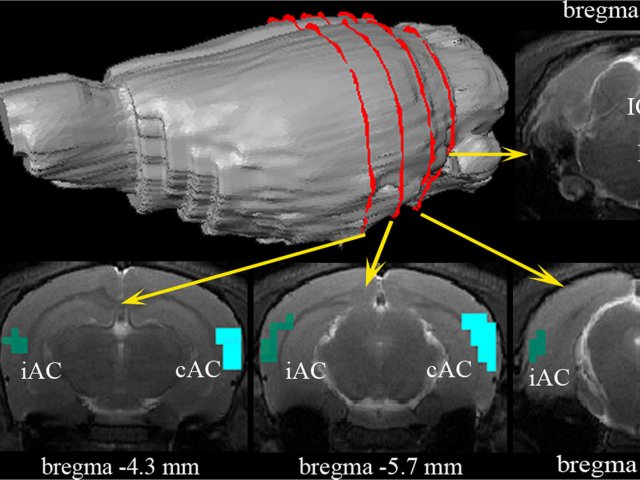 Soft Matter and Biophysics