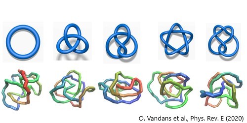 Neural Networks Know Their Knots