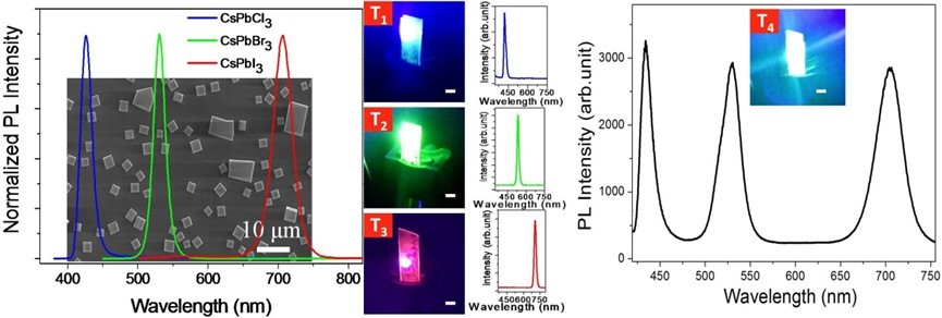 Room-Temperature Red–Green–Blue Whispering-Gallery Mode Lasing and White-Light Emission from Cesium Lead Halide Perovskite (CsPbX3, X = Cl, Br, I) Microstructures