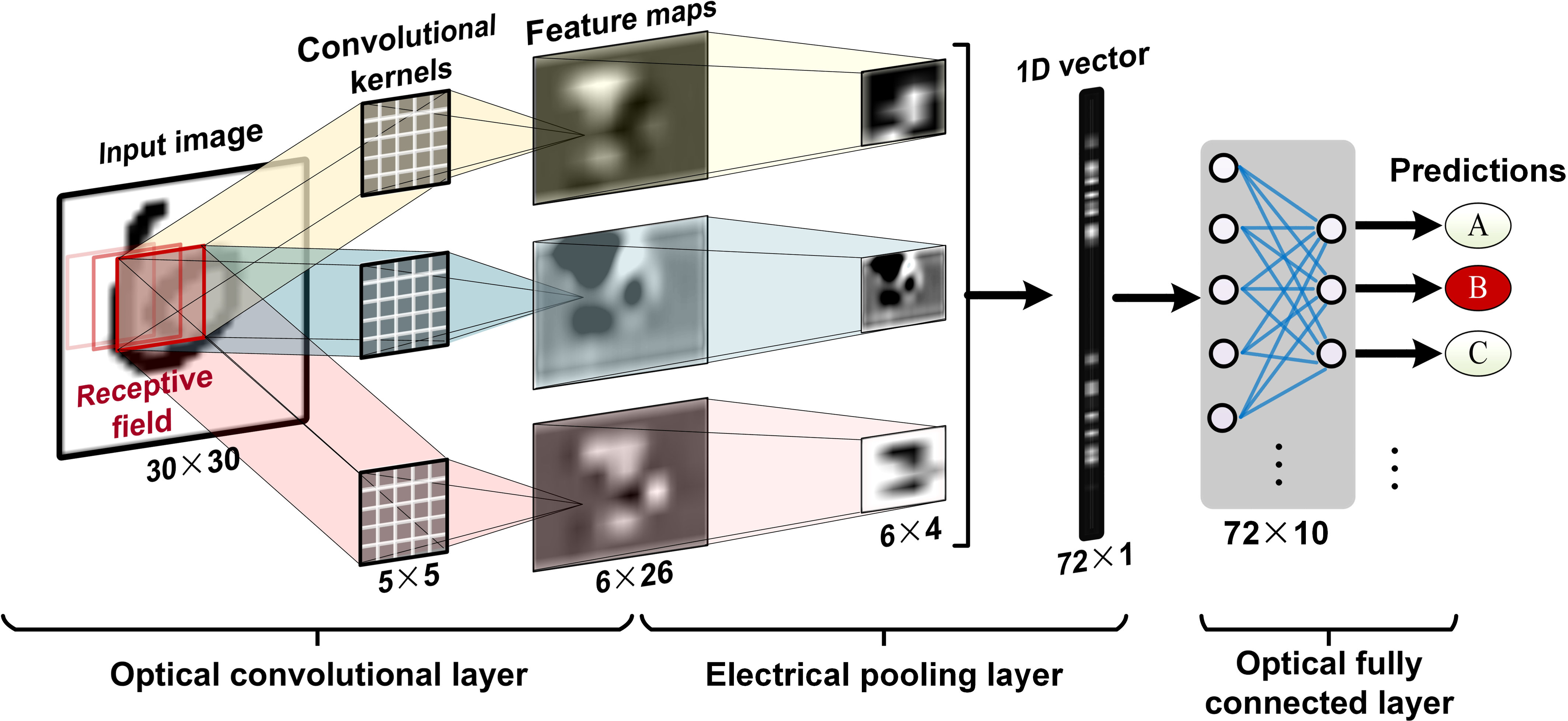 11 TOPS photonic convolutional accelerator for optical neural networks
