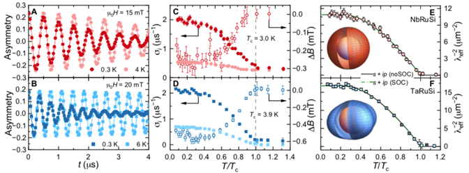 uSR oscillation data and superfluid density of TRuSi