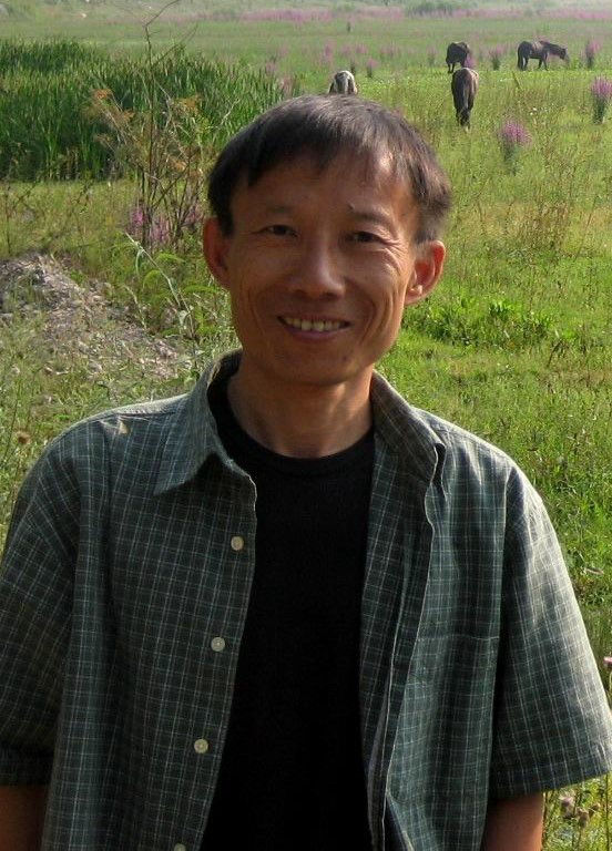 Prof Jie CHEN