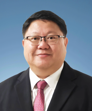 Professor Peter BRIMBLECOMBE