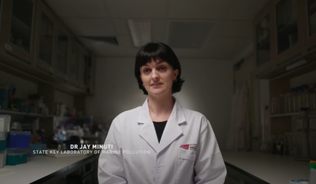 The Rolex China Sea Race