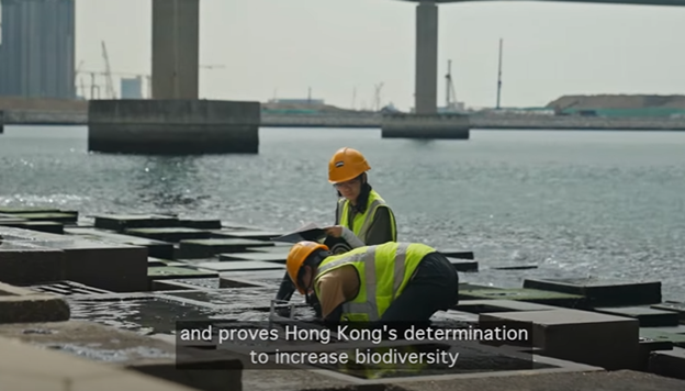 The Rolex China Sea Race