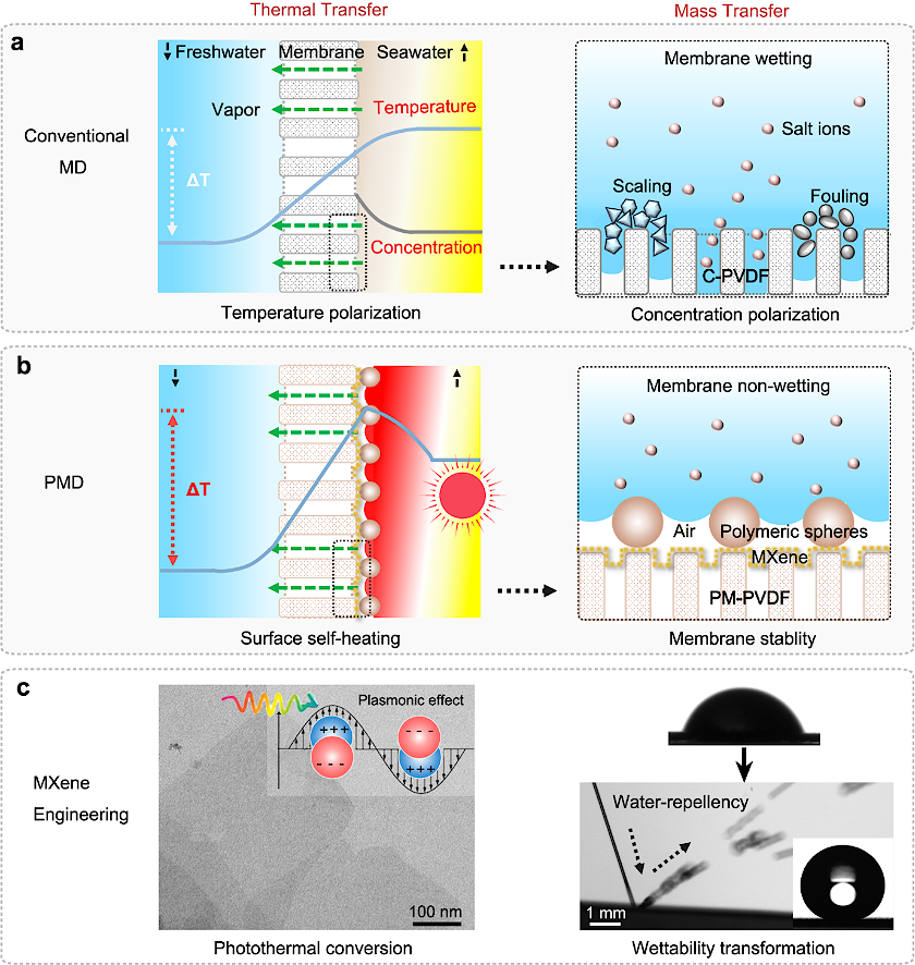 thermal mass transfer