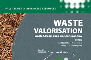 waste valorisation