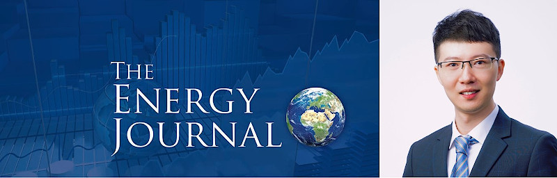 The Energy Journal Lin Zhang