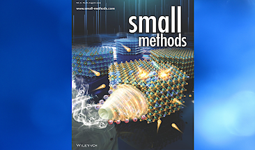 Small Methods_a