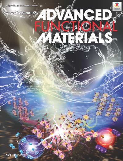 2020-AFM-Bi-Pvk-H2-Front Cover.jpg