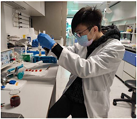 HKIE Environmental Division Prize