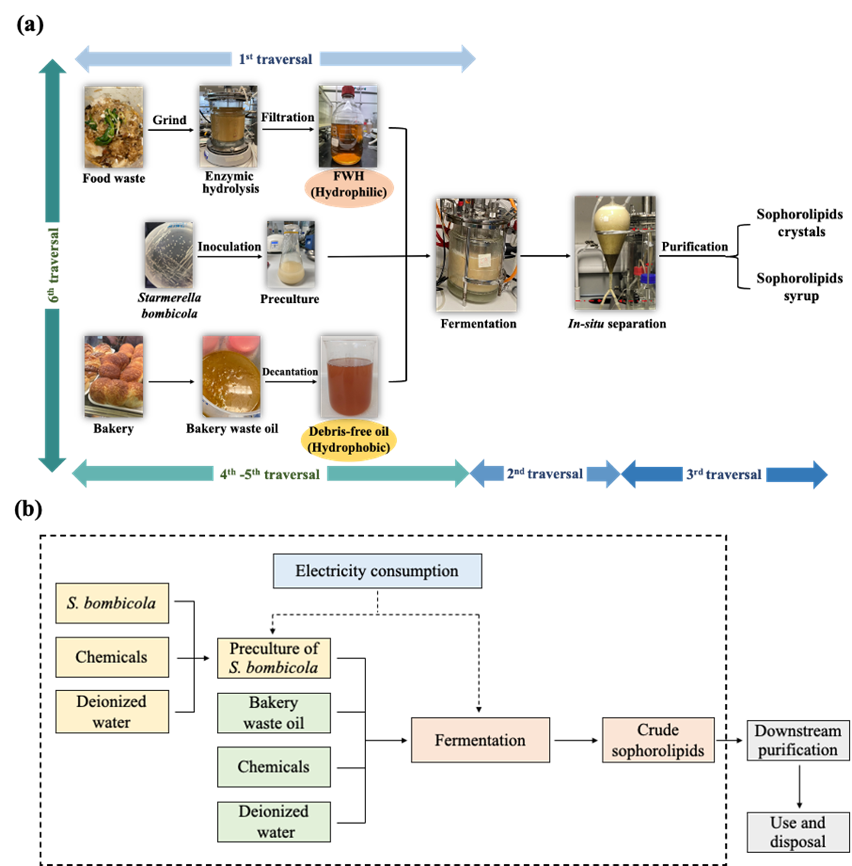 Figure 2. Schematic diagram of the proposed project.