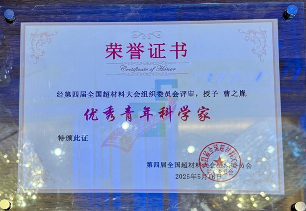 Distinguished Young Scientist Award