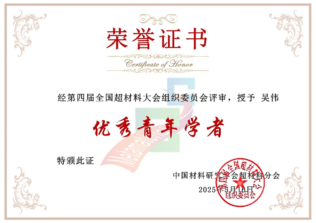 Distinguished Young Scholar Award