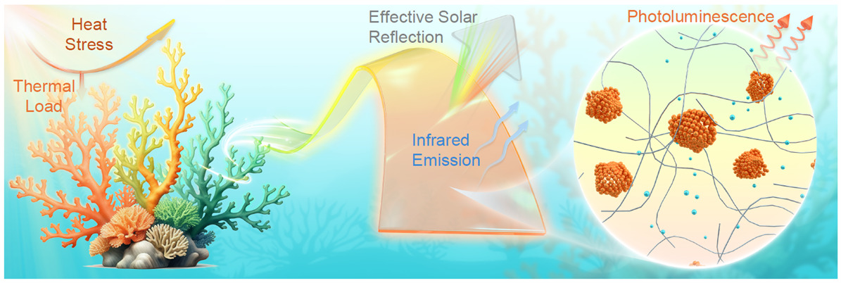 Nature Sustainability