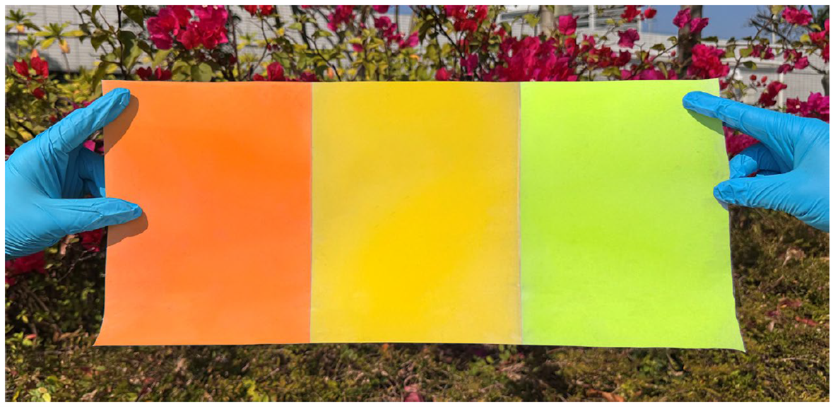 Nature Sustainability