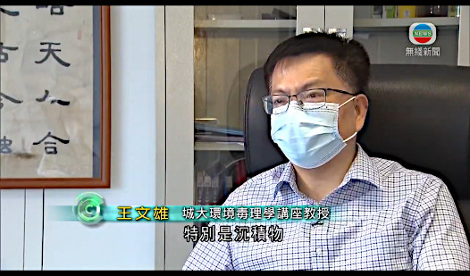 Prof Wen Xiong Wang_a