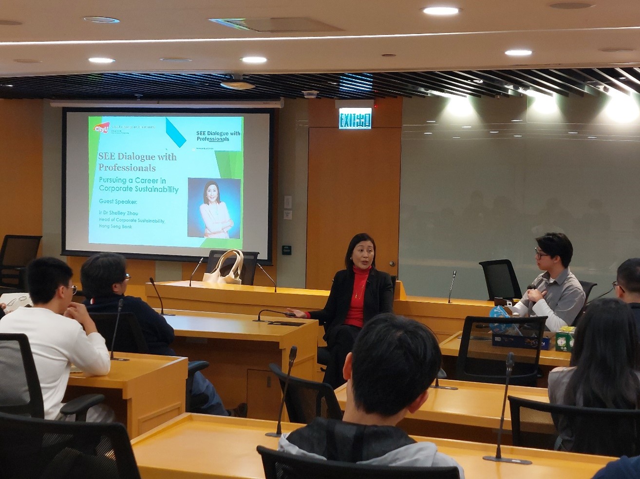 SEE Dialogue with Professionals