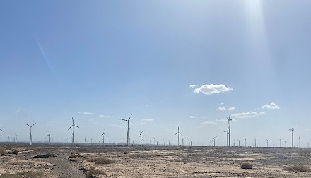 Wind Blow Everywhere