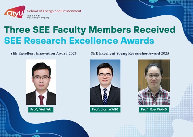 SEE Research Excellence Awards
