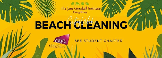 Vcycle Visiting & Beach Cleaning